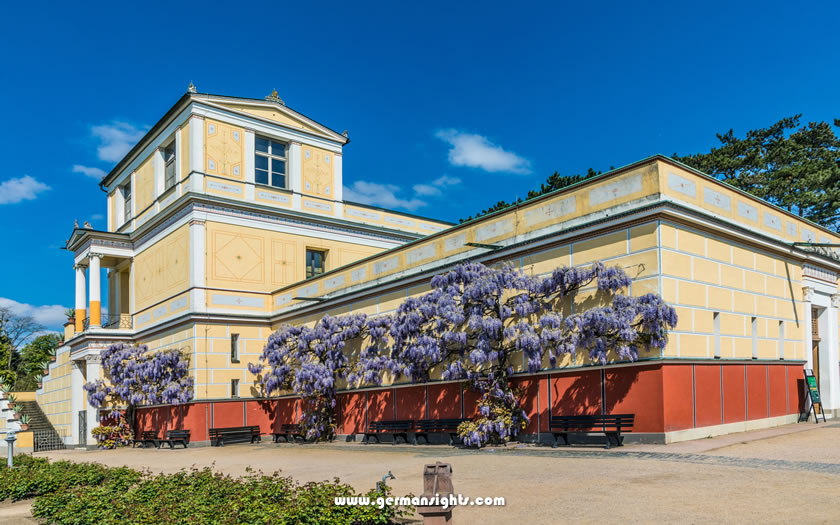 The Pompejanum in Aschaffenburg