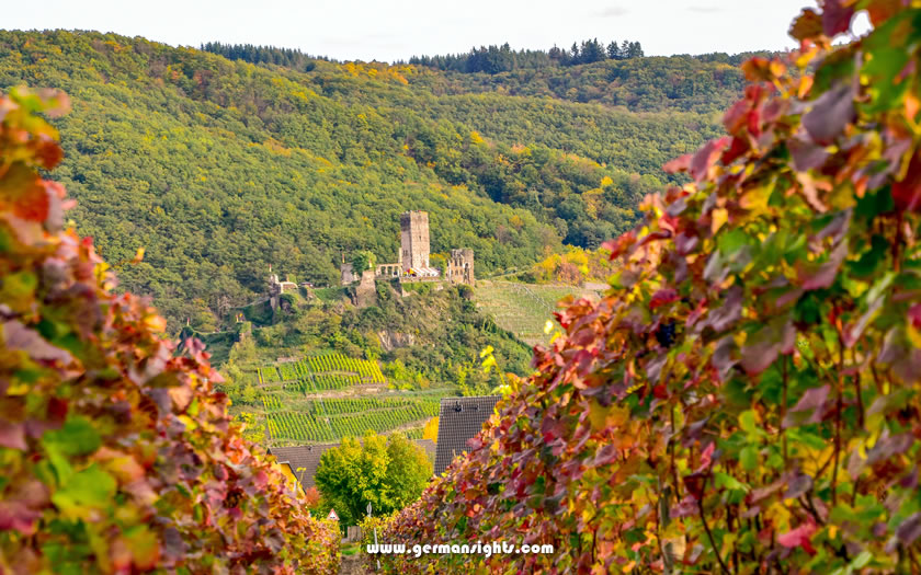 Metternich castle seen through the vineyards