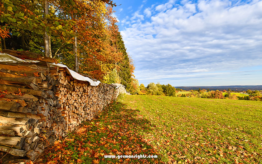 Meadows and woods in the Odenwald region