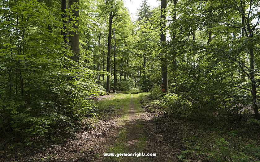 Hiking the Spessartweg trail