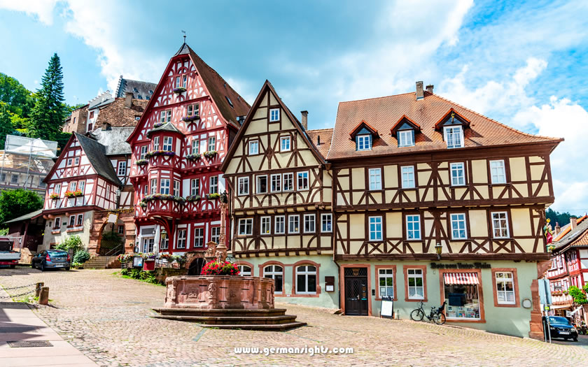 View over Miltenberg